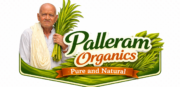 Palleram logo