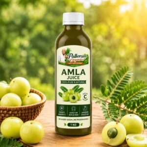 amla juice bottel palleram organics